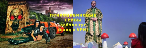 мет Алексин