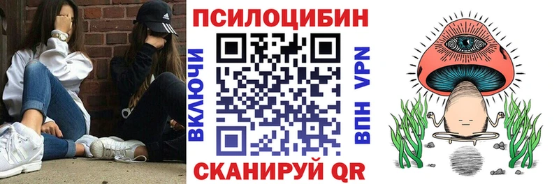 omg рабочий сайт  Енисейск  Псилоцибиновые грибы прущие грибы 